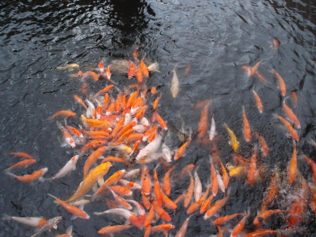 Spring Fountain Hotel Jiaoxi Εξωτερικό φωτογραφία